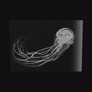The Jellyfish Lady as a glossy aluminum print floating off a black wall, turning so the light moves across the metal