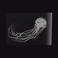 The Jellyfish Lady as a glossy aluminum print floating off a black wall, turning so the light moves across the metal