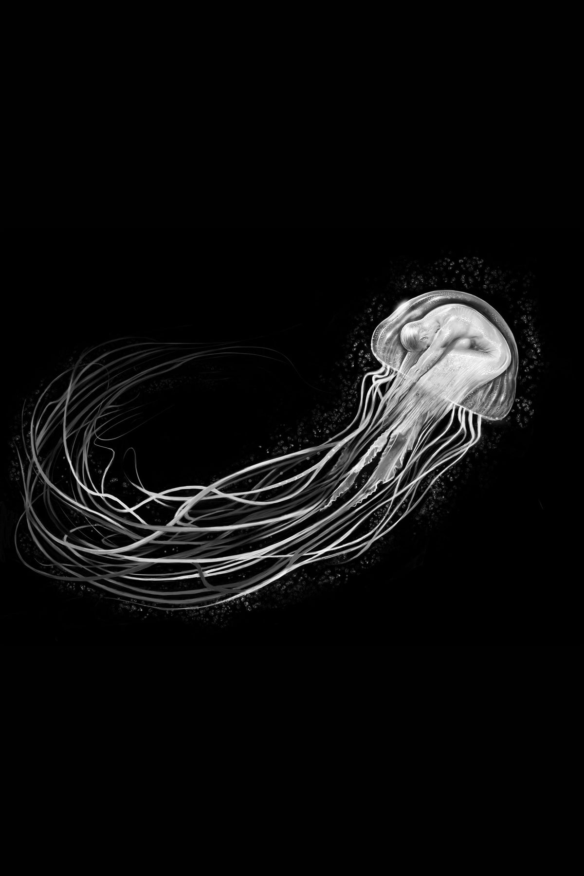 The Jellyfish Lady